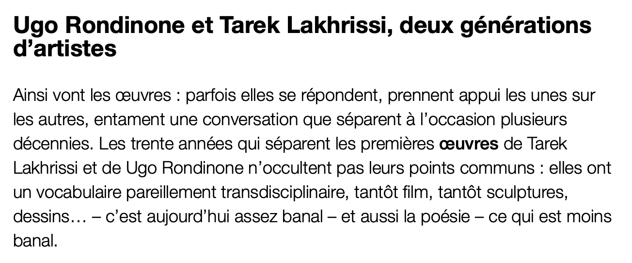 Ugo Rondinone & Tarek Lakhrissi à Reiffers Art Initiatives : visite guidée de l'exposition 