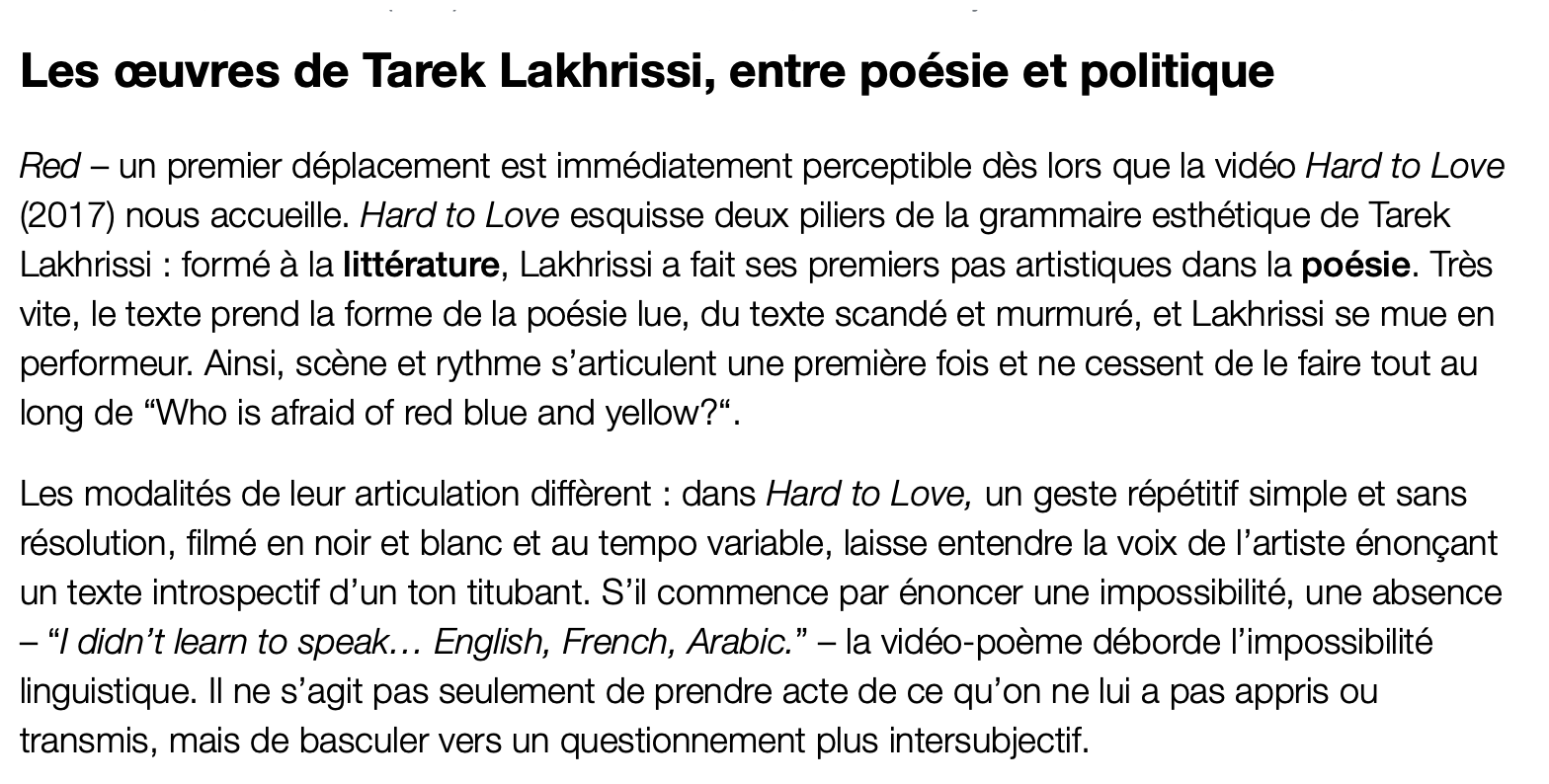 Qui est Tarek Lakhrissi, étoile montante exposée à Reiffers Art Initiatives ?