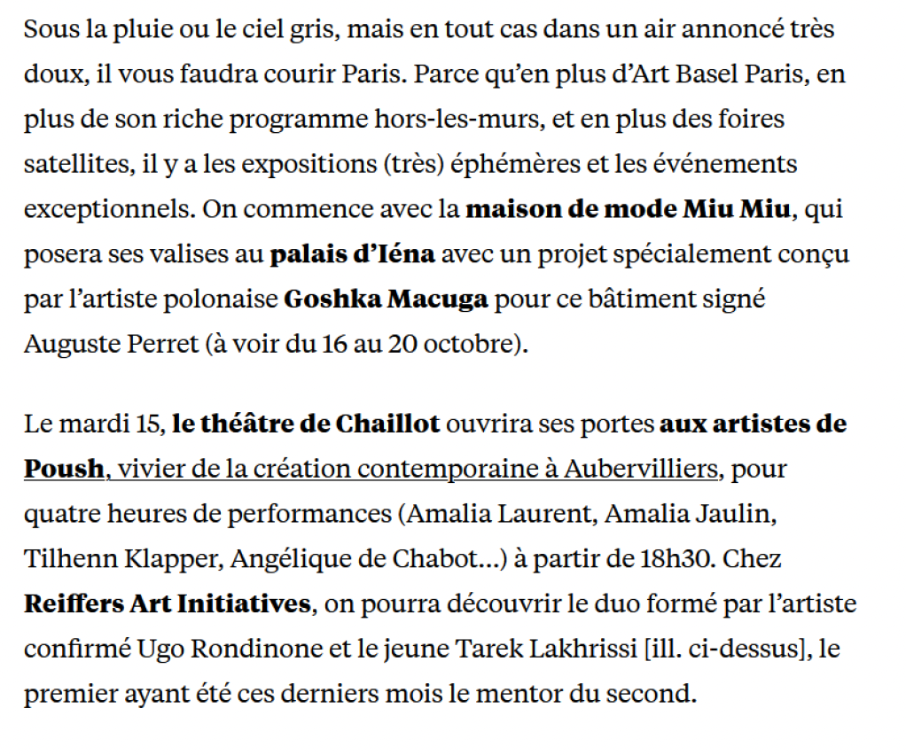 Chez Reiffers Art Initiatives, Ugo Rondinone en mentor de Tarek Lakhrissi